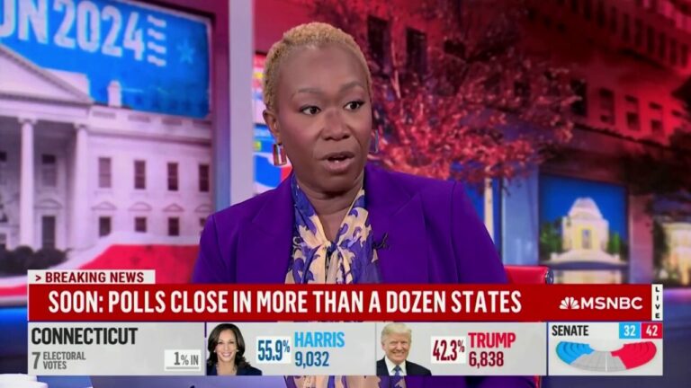 MSNBC host: Governor DeSantis’ opposition to abortion amendment is ‘openly fascist’