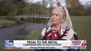 Michigan lawmaker says she’s never seen a more ‘vitriolic’ election than 2024