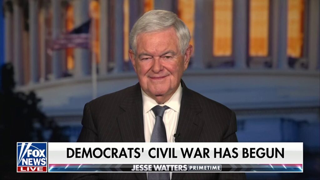 The Democratic Party has an 'enormous psychological problem,' says Newt Gingrich