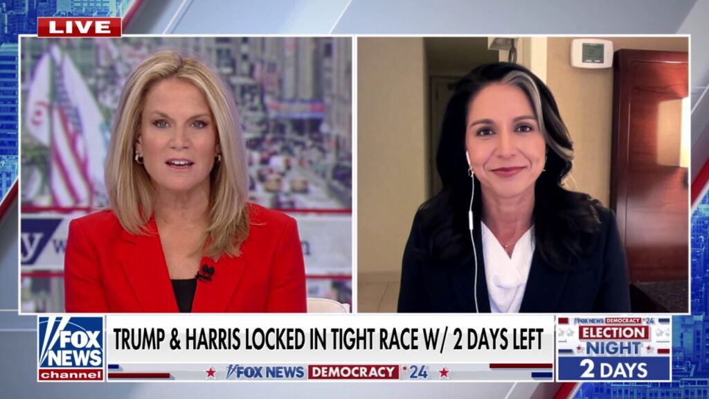 Tulsi Gabbard reveals her take on why argues why Liz Cheney is supporting Kamala Harris