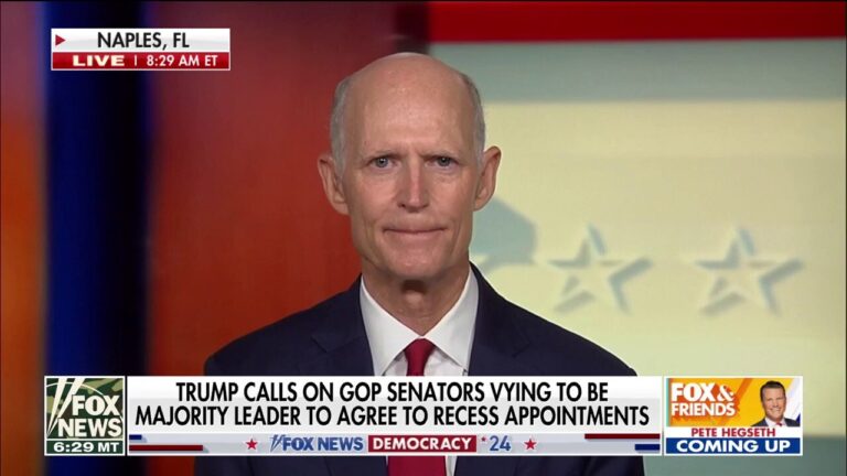 Sen. Rick Scott picks up support from Elon Musk to lead Senate