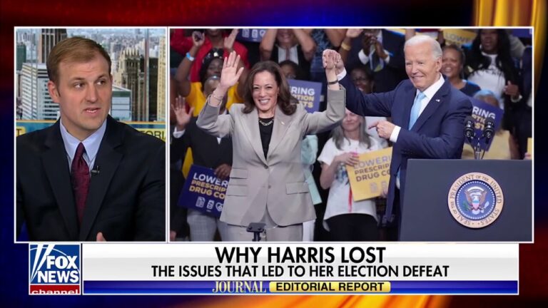 Blame Biden or Harris? The New Democratic Debate