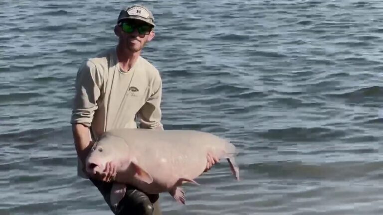 Monster 68-pound record-breaking fish caught and released in Texas