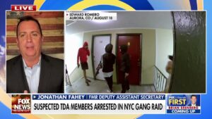 Biden admin 'invited' violent gang members into US, former ICE director says