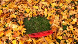 10 essential items for fall lawn care to keep your yard leaf-free