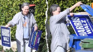 Kamala Harris supporter Sally Field trashes campaign sign after Donald Trump victory