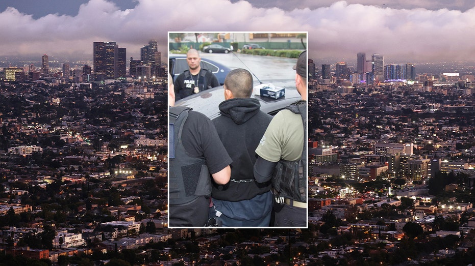 Los Angeles becomes sanctuary despite dozens of murderous, child-preying illegals arrested in city this year