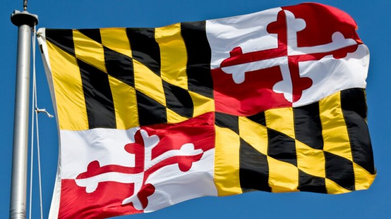 Weird laws in Maryland, including $5-$500 fine for manufacturing, trading or selling 'stench bomb'