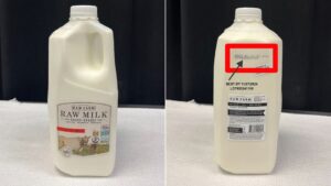 Bird flu detected in batch of California raw milk, company issues recall, health officials say