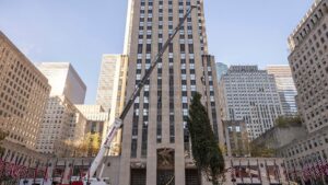 Haul out the holly! Rockefeller Center Christmas tree arrives in New York City