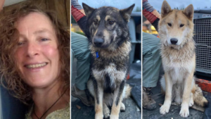 Oregon hiker, 61, vanishes with her 2 dogs