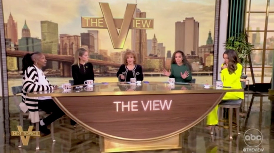 'The View' debates Biden's friendly meeting with Trump after heated campaign rhetoric