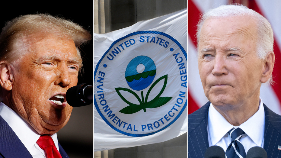 Trump to install 'energy czar' to dismantle Biden climate rules: report