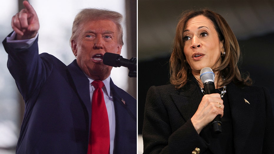 'Enjoy retirement': Veteran pollster mocked after Harris prediction in Iowa was 'shockingly wrong'