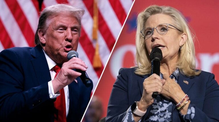 Even liberals, Trump critics blast media's coverage of Liz Cheney comments: 'A bald-faced lie'