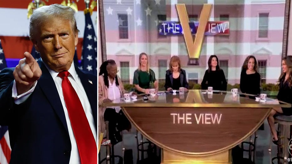 'The View' will not change course following Trump's victory, ABC insider says