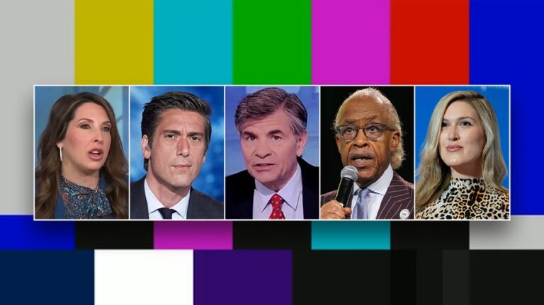 The 10 biggest liberal media controversies of 2024