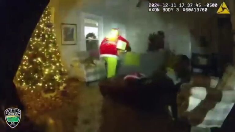 South Carolina police arrest The Grinch for allegedly stealing Christmas gifts