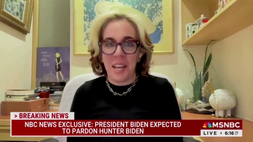 Liberal MSNBC commentator speechless over President Biden pardoning his son