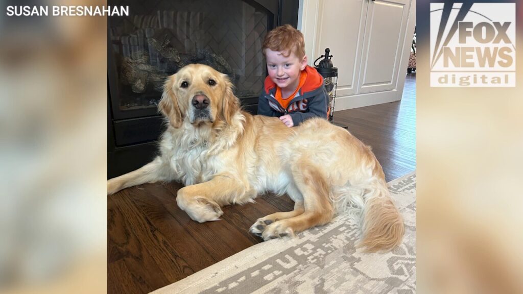 New York mom shares how service dog has transformed her son's life.mp4