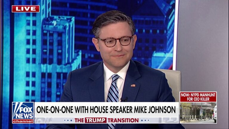 Mike Johnson: Trump needs people to 'shake up the status quo'