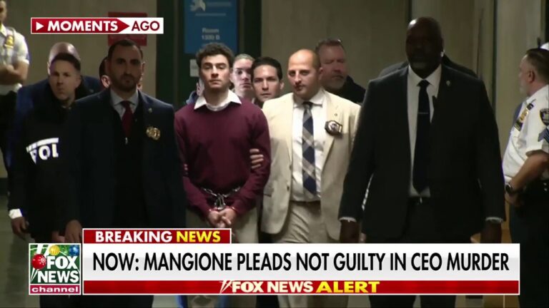 Luigi Mangione pleads not guilty in murder of CEO Brian Thompson