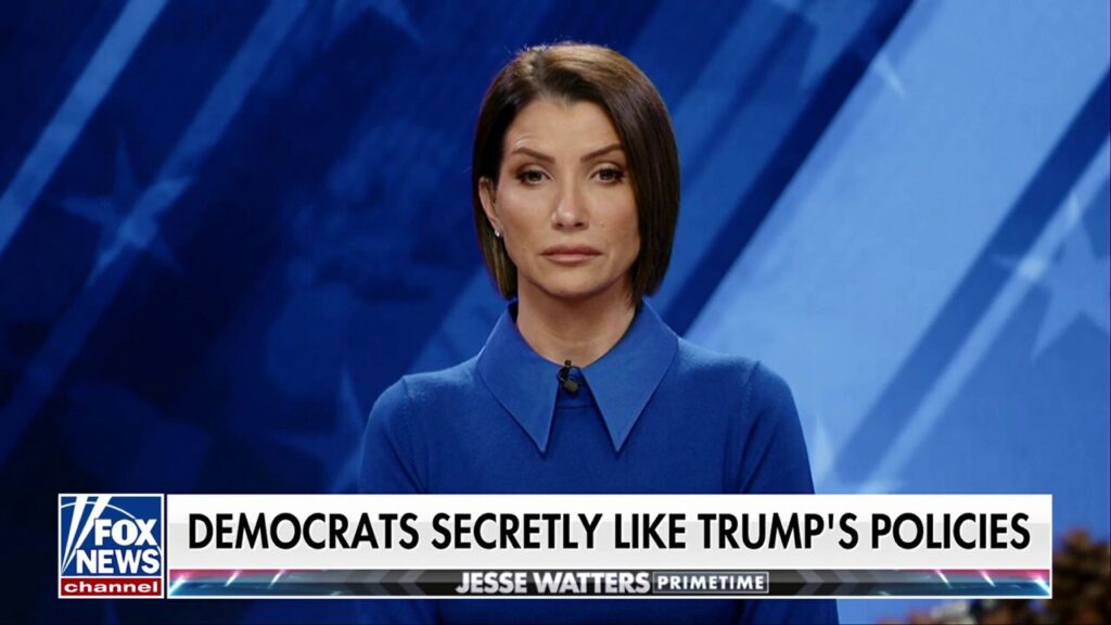 Dana Loesch: Democrats have to find an identity