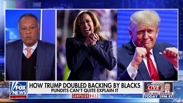 Media admits the Democratic Party is too 'woke' after Kamala Harris' 2024 loss