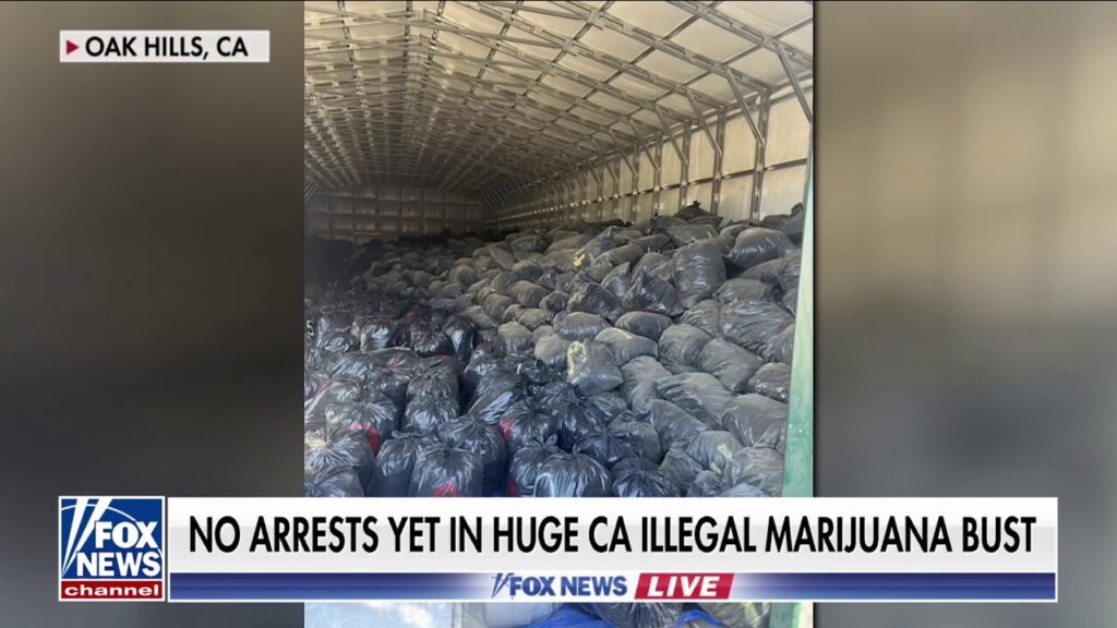 California officials seize $100 million of illegal marijuana in massive drug bust