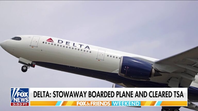 Expert rails against TSA for ‘abysmal performance’ after stowaway situation