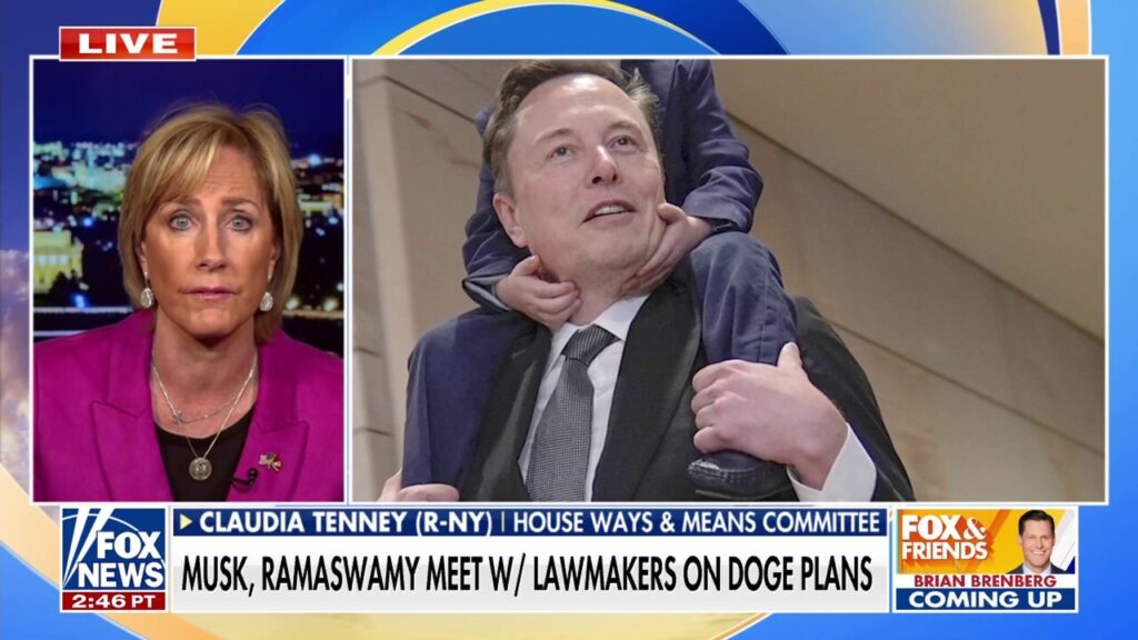 GOP lawmaker touts 'incredible' meeting with Musk, Ramaswamy on DOGE plans