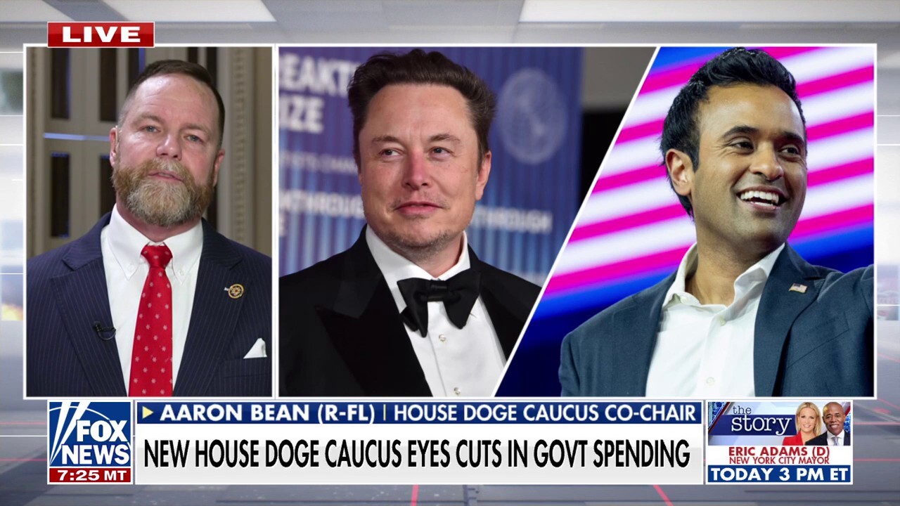 Congressional DOGE Caucus holds first meeting