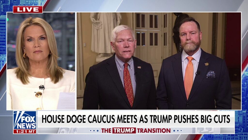 House DOGE caucus holds first meeting to tackle 'waste, fraud and abuse'