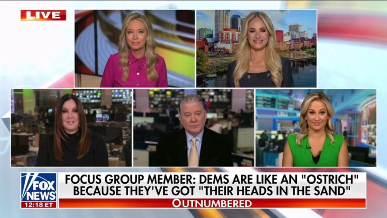 Swing voters deliver 'harsh' criticism of Democratic Party: 'Not a friend of the working class'