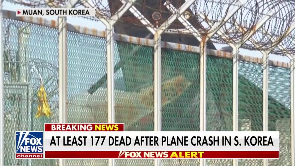 177 dead in South Korean plane crash