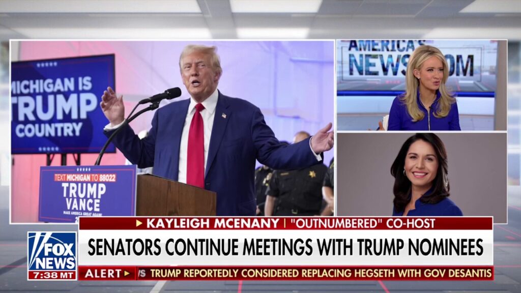 Kayleigh McEnany highlights Democrats' silence on Trump's nominees: 'Shocking'