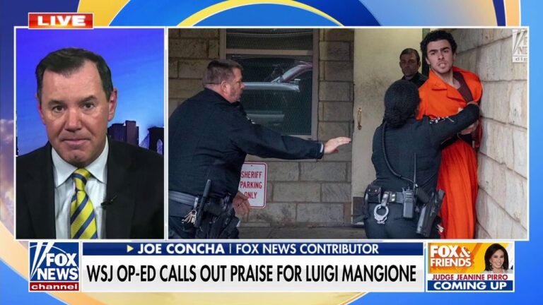 Joe Concha sounds off on praise of CEO murder suspect: 'Absolutely sickening'