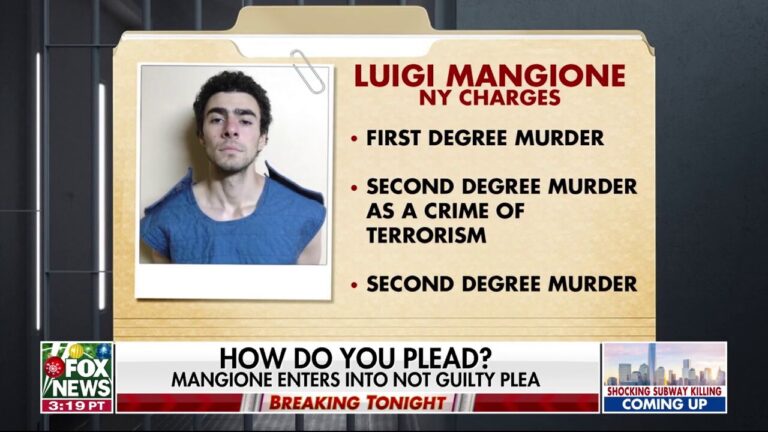 Luigi Mangione enters 'not guilty' plea in murder case