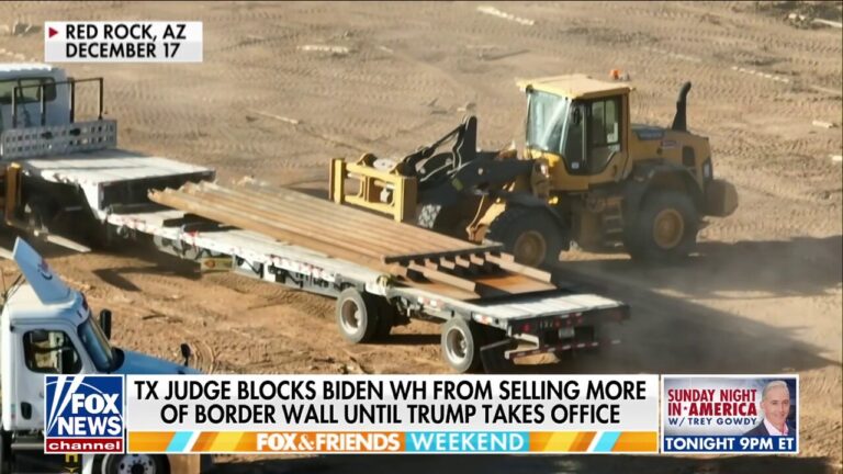 Trump touts 'crucial win' after judge blocks Biden from selling off border wall material