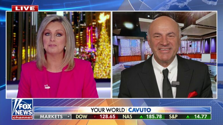 Kevin O'Leary: The regulatory environment will be ripped away