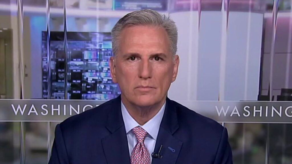 Rep. Kevin McCarthy: Nancy Pelosi 'destroyed' the Democratic Party