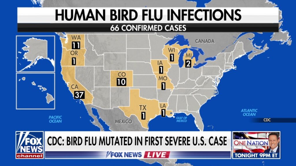 Dr. Marc Siegel on bird flu: ‘California worries me’ due to spread of disease in cattle