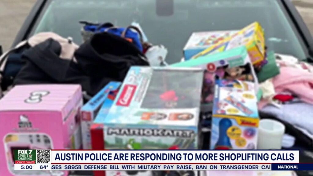 Texas police arrest 9 suspects involved in 4 shoplifting cases near suburban mall