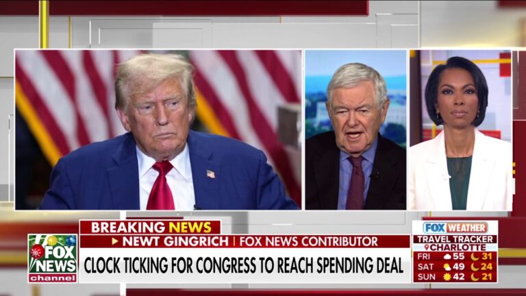 Gingrich says House lawmakers are 'colliding' with Trump on spending bill