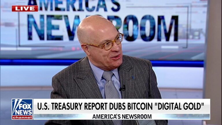 Bitcoin is 'digital gold,' US Treasury report says