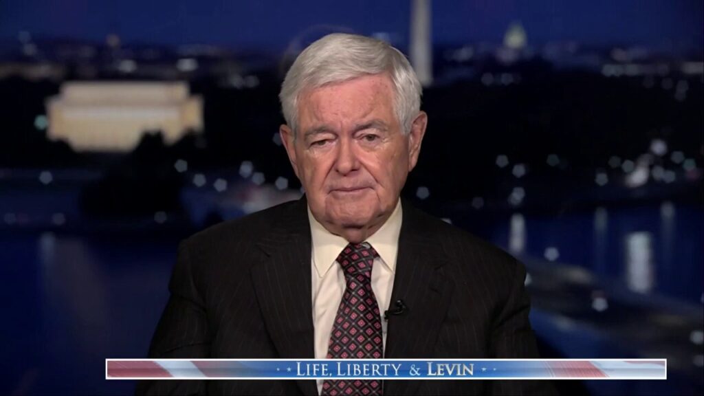 Newt Gingrich says Trump is by 'de facto' in reality, the president