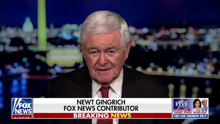 We have to assume Biden has some ‘nutcase, left-wing staffers’ doing dangerous things, says Newt Gingrich