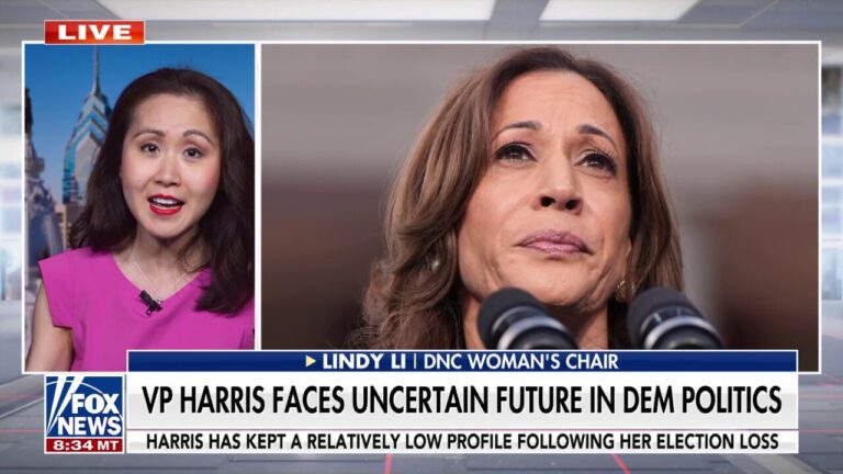 DNC fundraiser rips party for ‘indulging in delusions’ of a Kamala Harris comeback