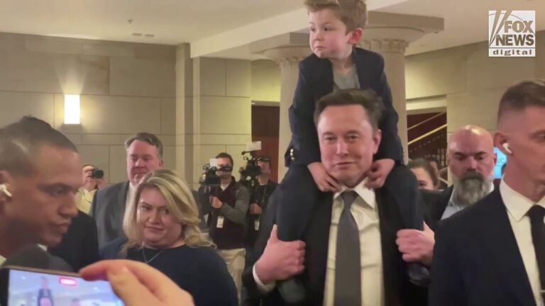 Vivek Ramaswamy and Elon Musk leave DOGE meeting with lawmakers