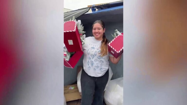 Florida woman saves thousands of dollars by dumpster diving for Christmas decorations